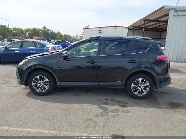 JTMRJREVXHD091621 Toyota Rav4 Hybrid Xle