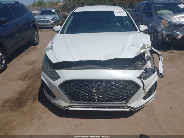 2019 Hyundai Sonata Sel მანქანა იყიდება აუქციონზე, vin: 5NPE34AF3KH754586, აუქციონის ნომერი: 44825799
