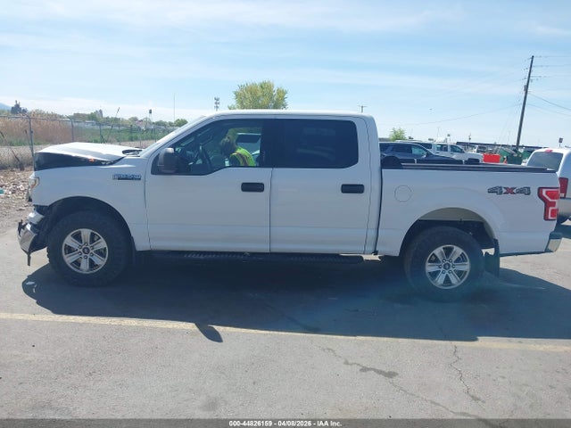 Ford F-150 Xlt 2019 1FTEW1E59KKD51737 Image 14