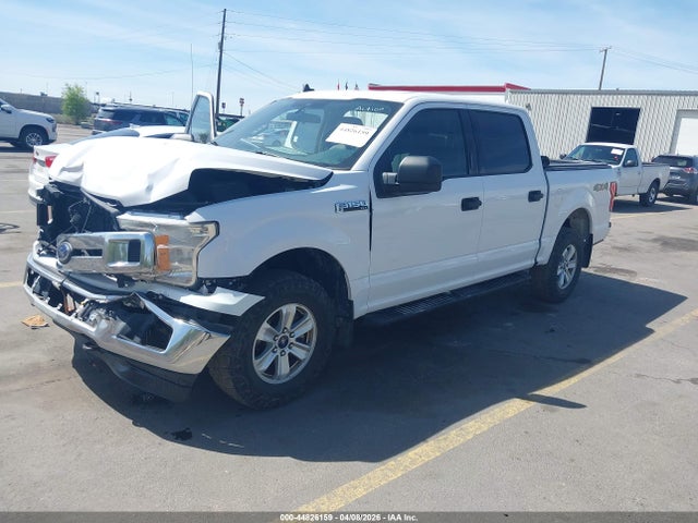 Ford F-150 Xlt 2019 1FTEW1E59KKD51737 Image 2