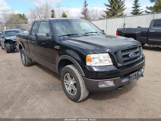 2004 FORD F-150 1FTPX14504NA03849