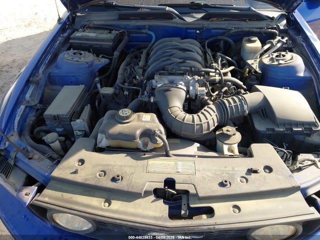 2005 FORD MUSTANG 1ZVFT82H655156408 Photo 9