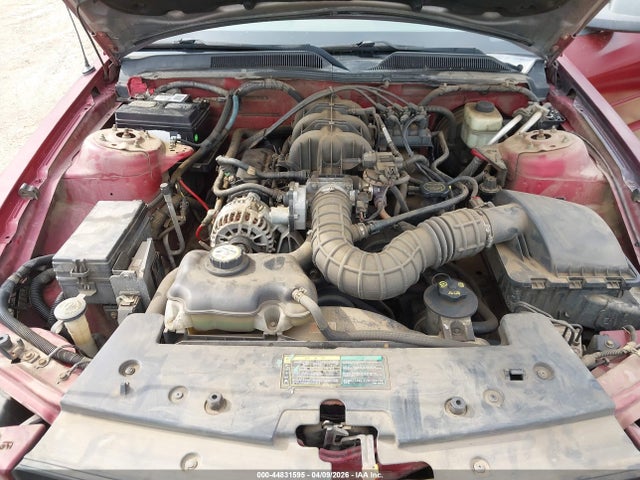 2006 FORD MUSTANG 1ZVFT84N865121244 Photo 9