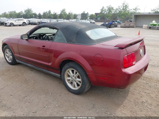 2006 FORD MUSTANG 1ZVFT84N865121244 Photo 2