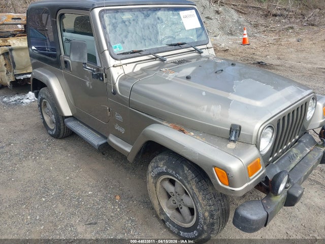 2003 JEEP WRANGLER 1J4FA59S43P373976