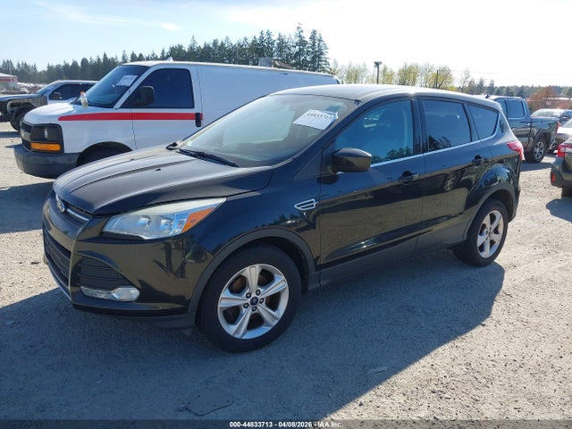 2014 FORD ESCAPE 1FMCU0GX3EUC53555 Photo 1