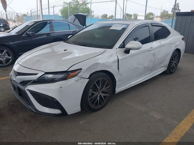 4T1T11AK3PU762205 Toyota CAMRY SE