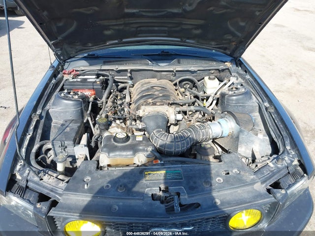 2007 FORD MUSTANG 1ZVFT82H775356913 Photo 9