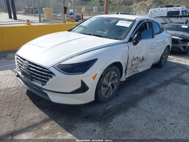 Hyundai Sonata Blue 2021 KMHL24JJ6MA035367 Image 2
