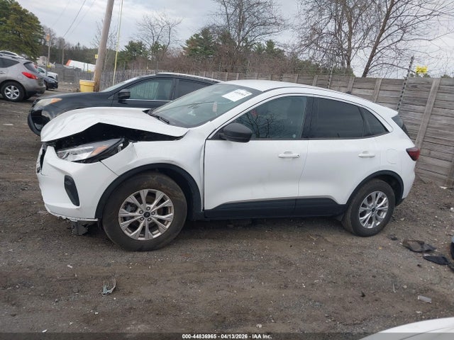 1FMCU9GN4PUA59784 Ford Escape Active