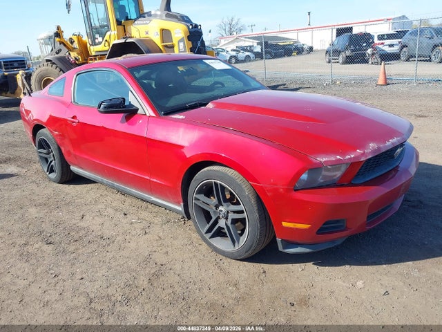 2011 FORD MUSTANG 1ZVBP8AM9B5128521