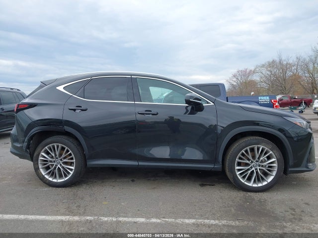 Lexus Nx 350 Premium 2025 2T2GGCEZ7SC078671 Image 13
