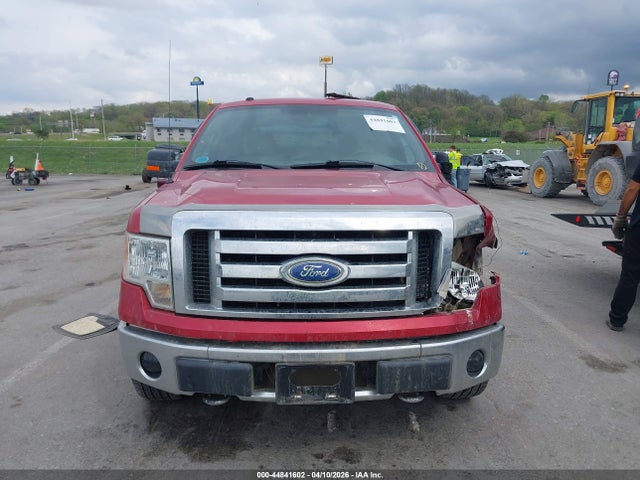 Продажа на аукционе авто 2009 Ford F-150 Fx4/king Ranch/lariat/platinum/xl/xlt, vin: 1FTPW14V79FB36340, номер лота: 44841602