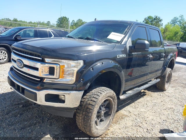 Ford F-150 Xlt 2019 1FTEW1E46KKC52865 Image 2