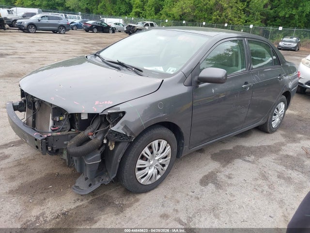 Продажа на аукционе авто 2010 Toyota Corolla Le, vin: 2T1BU4EE2AC521883, номер лота: 44845623
