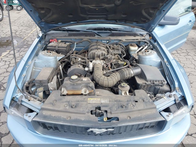 2005 FORD MUSTANG 1ZVFT84N955219892 Photo 9