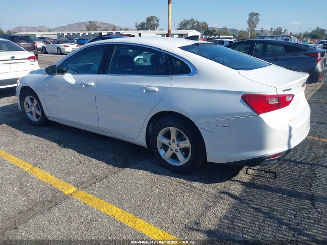 1G1ZC5ST4LF147886 Chevrolet Malibu Fwd 1fl