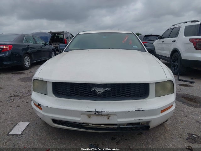 2006 Ford Mustang V6 მანქანა იყიდება აუქციონზე, vin: 1ZVFT80N365152486, აუქციონის ნომერი: 44848076