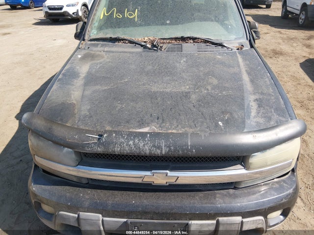 2002 Chevrolet Trailblazer Lt მანქანა იყიდება აუქციონზე, vin: 1GNDT13S622337752, აუქციონის ნომერი: 44849254