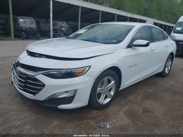 2024 CHEVROLET MALIBU 1G1ZD5ST8RF131194 Photo 1