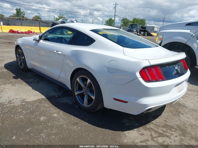 1FA6P8AM5G5307558 Ford Mustang V6
