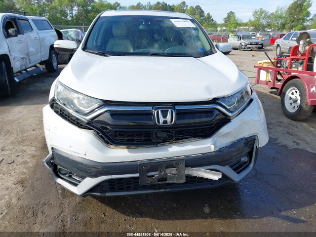 Honda Cr-v Awd Ex-l 2020 5J6RW2H89LA017710 Image 12