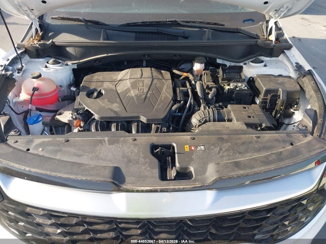 2024 Kia Sportage Ex მანქანა იყიდება აუქციონზე, vin: 5XYK33DF1RG147998, აუქციონის ნომერი: 44852667