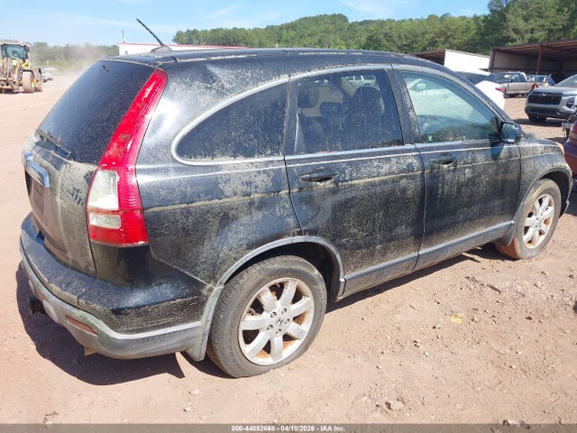 2007 HONDA CR-V JHLRE38707C015279 Photo 3