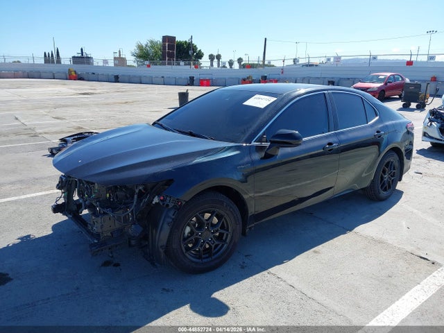 4T1C31AK9MU562340 Toyota Camry Le Hybrid