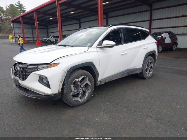 Продажа на аукционе авто 2024 Hyundai Tucson Limited, vin: 5NMJECDE3RH349888, номер лота: 44853097