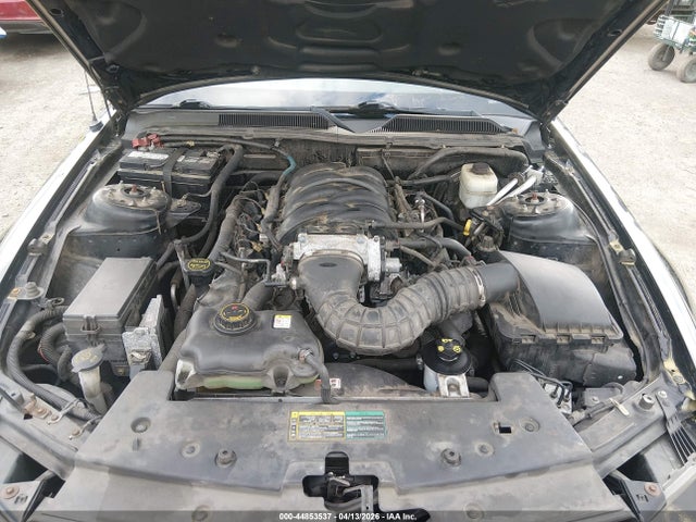 2006 FORD MUSTANG 1ZVHT82H765250856 Photo 9