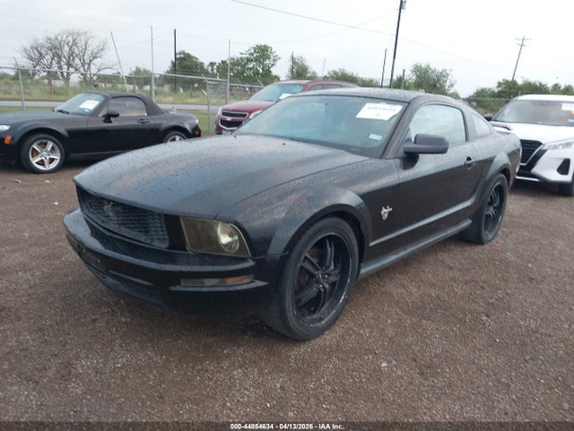 2009 FORD MUSTANG 1ZVHT80N495127514 Photo 1