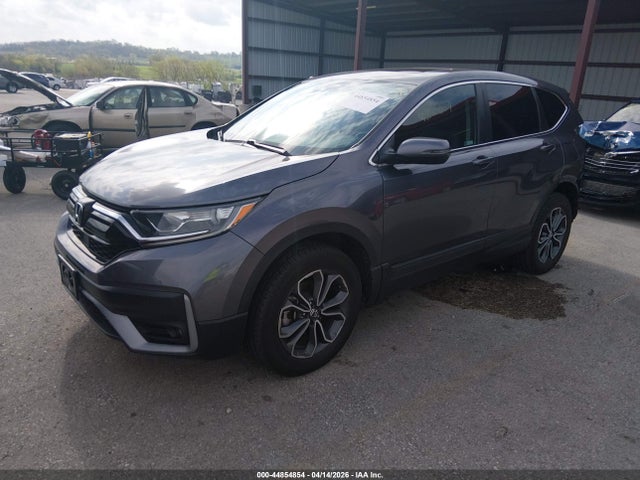 Продаж на аукціоні авто 2020 Honda Cr-v Awd Ex-l, vin: 5J6RW2H81LL041813, номер лоту: 44854854