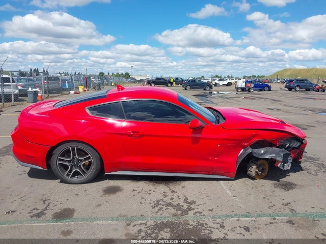 Ford Mustang Ecoboost Fastback 2020 1FA6P8TH0L5176758 Image 14