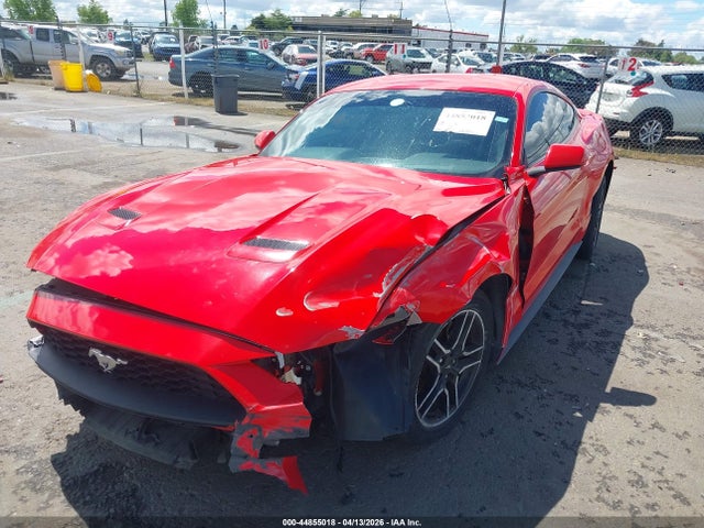Ford Mustang Ecoboost Fastback 2020 1FA6P8TH0L5176758 Image 2