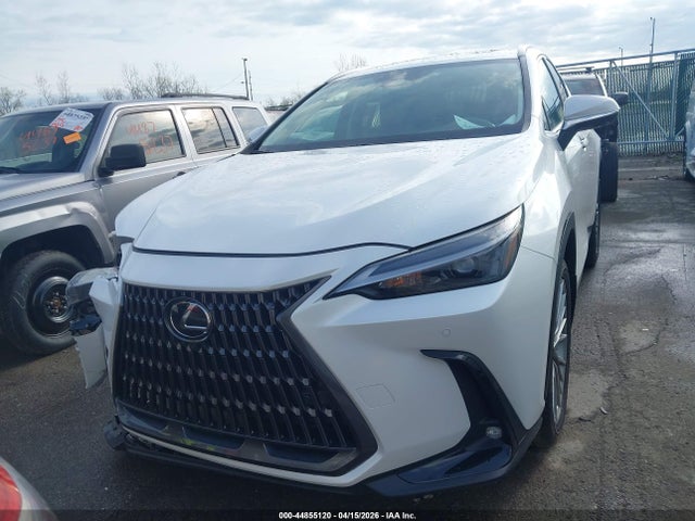 2025 Lexus Nx 350 Premium მანქანა იყიდება აუქციონზე, vin: 2T2GGCEZ6SC087328, აუქციონის ნომერი: 44855120