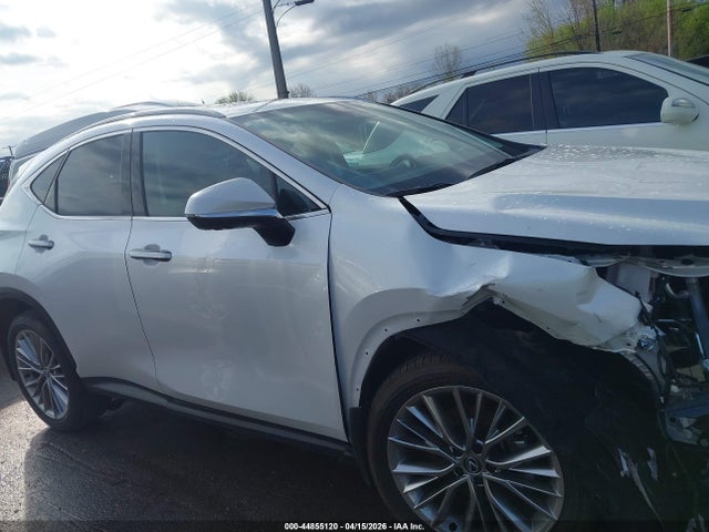 2025 Lexus Nx 350 Premium მანქანა იყიდება აუქციონზე, vin: 2T2GGCEZ6SC087328, აუქციონის ნომერი: 44855120