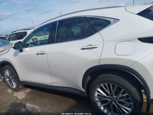 2025 Lexus Nx 350 Premium მანქანა იყიდება აუქციონზე, vin: 2T2GGCEZ6SC087328, აუქციონის ნომერი: 44855120