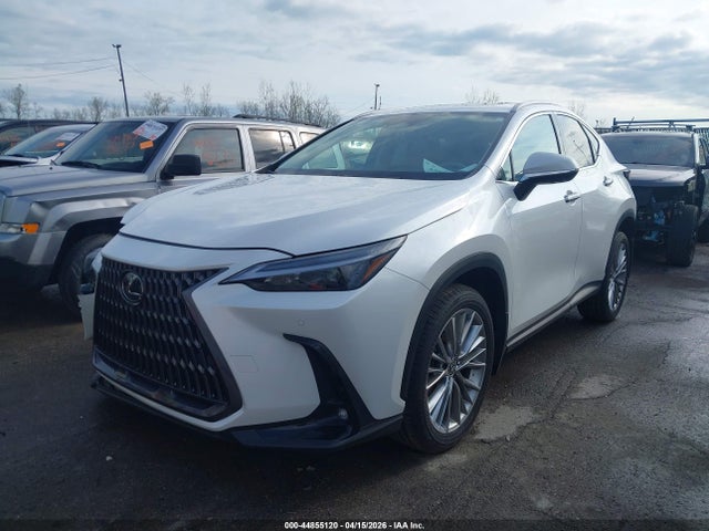 2025 Lexus Nx 350 Premium მანქანა იყიდება აუქციონზე, vin: 2T2GGCEZ6SC087328, აუქციონის ნომერი: 44855120