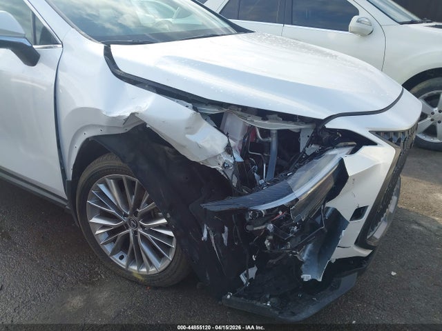2025 Lexus Nx 350 Premium მანქანა იყიდება აუქციონზე, vin: 2T2GGCEZ6SC087328, აუქციონის ნომერი: 44855120