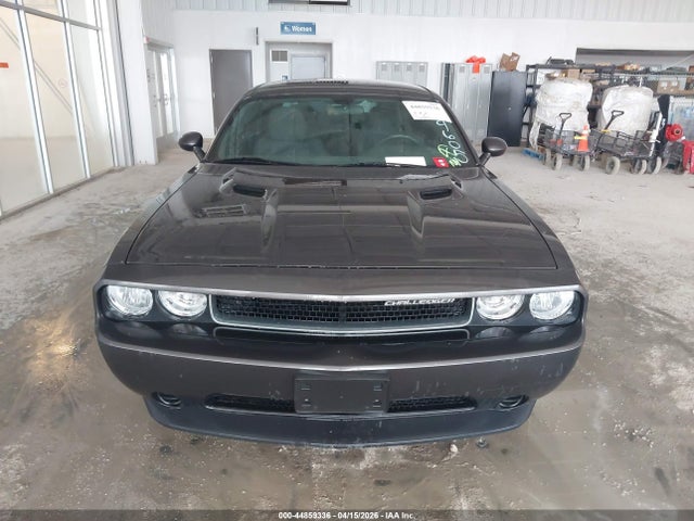 Продажа на аукционе авто 2014 Dodge Challenger Sxt, vin: 2C3CDYAG3EH289605, номер лота: 44859336