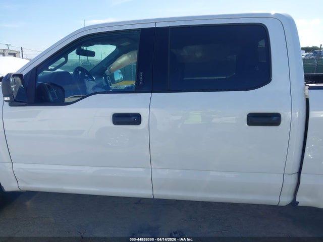 Ford F-150 Xlt 2019 1FTEW1CP2KKE52980 Image 14