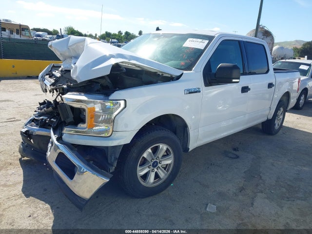 Ford F-150 Xlt 2019 1FTEW1CP2KKE52980 Image 2