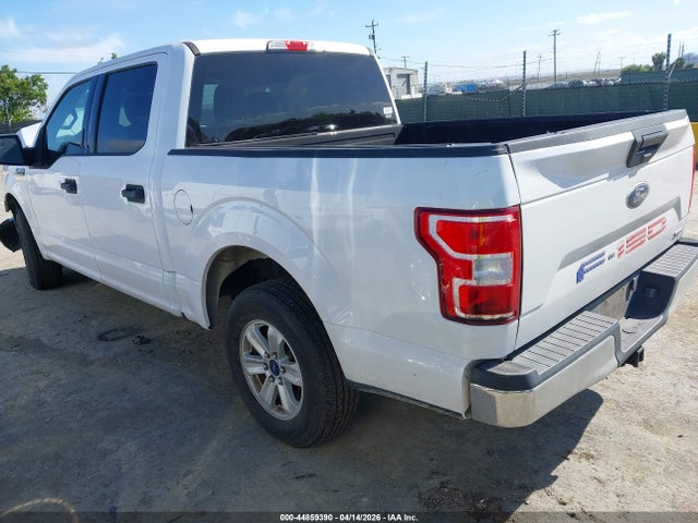 Ford F-150 Xlt 2019 1FTEW1CP2KKE52980 Image 3
