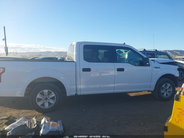 Ford F-150 Xlt 2019 1FTEW1CP8KKE41319 Image 14
