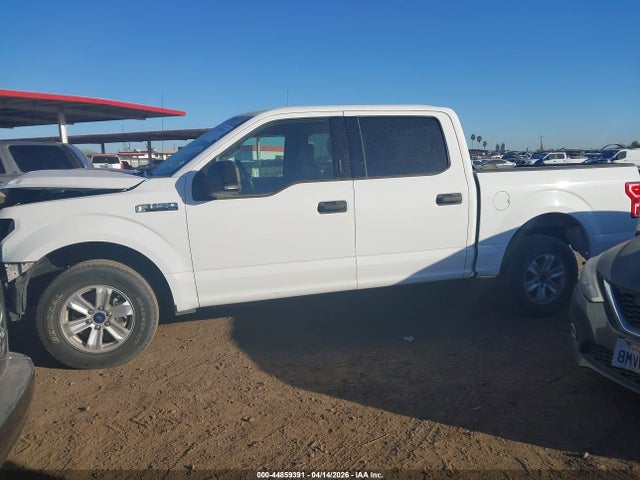 Ford F-150 Xlt 2019 1FTEW1CP8KKE41319 Image 15