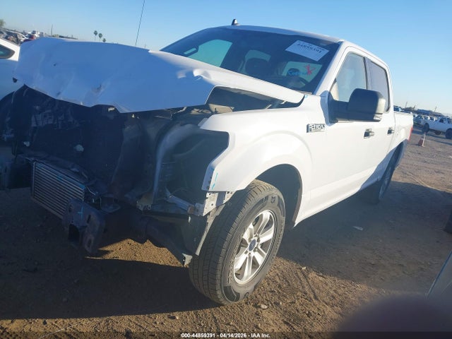Ford F-150 Xlt 2019 1FTEW1CP8KKE41319 Image 2