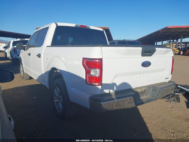 Ford F-150 Xlt 2019 1FTEW1CP8KKE41319 Image 3