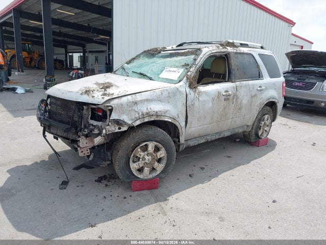 44860874 :رقم المزاد ، 1FMCU0EG5AKD45887 vin ، 2010 Ford Escape Limited مزاد بيع