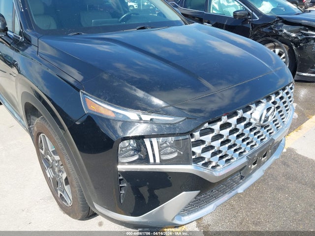 Hyundai Santa Fe Limited 2021 5NMS4DAL7MH329524 Image 6